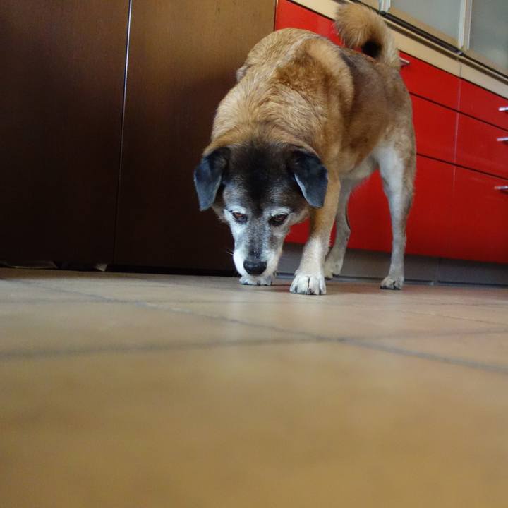 989e7c1d 4689 4f01 87a9 49d0988446a3 1552814723872