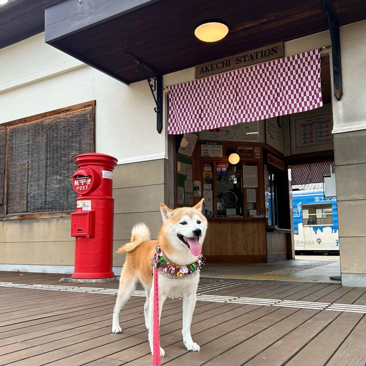 989e7cdc 9958 4a7f 8ad8 c80606d7d711 1729423729699