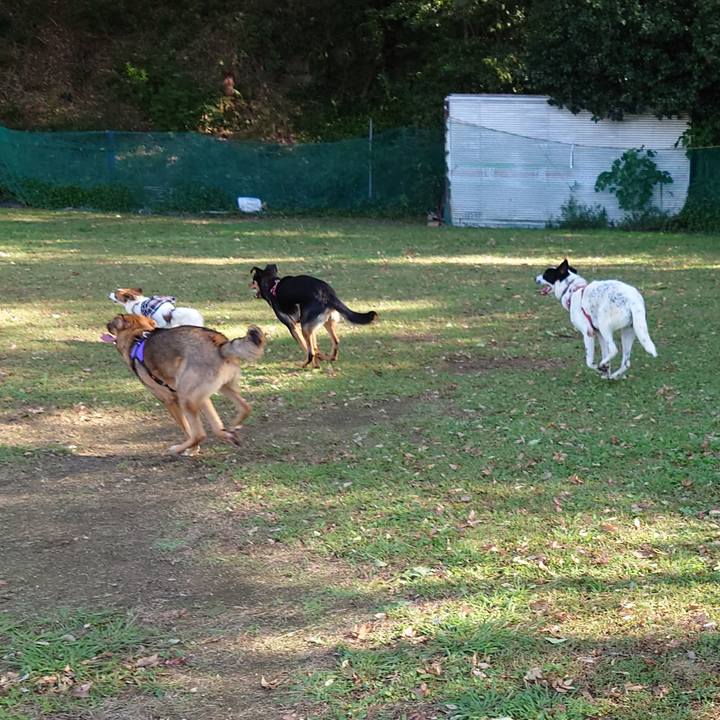 989eaaae c311 4041 a452 9ce548cac865 1696644223485