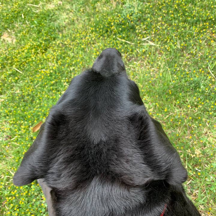 989ecea2 b861 498d 9fbc f9e54697f6ea 1587798825569