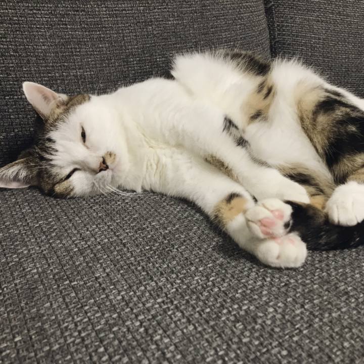 989ed697 d4f4 4558 a1b3 6464b16fb30b 1566010880032