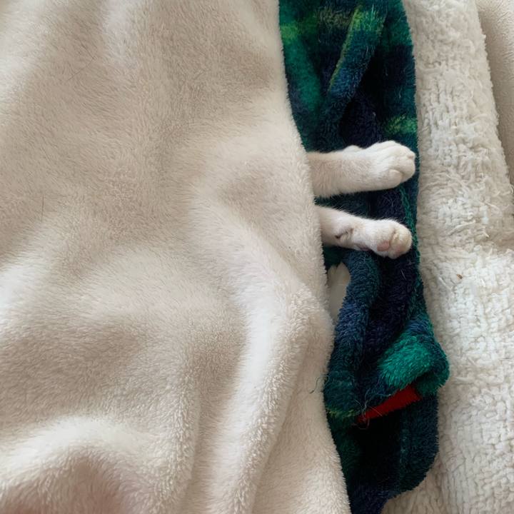 989eeec9 e960 49c3 b726 ba3074eb5129 1643859645205