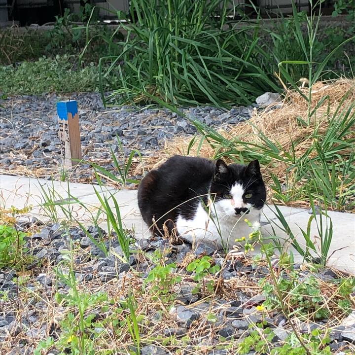 989f2835 561d 4643 8afe 7d2b2cb6dc6f 1589716726365