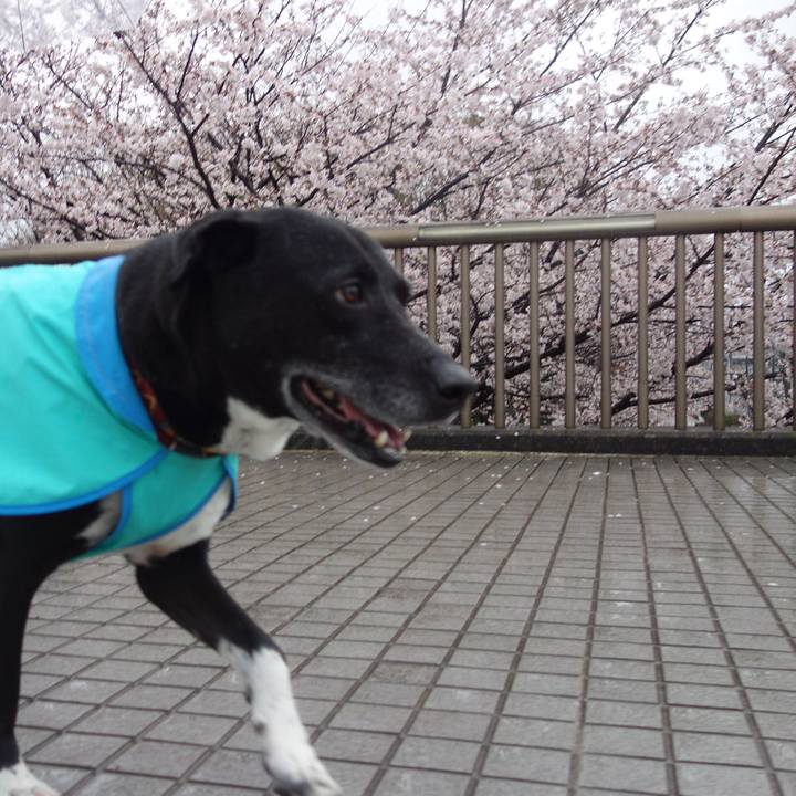 989f3a80 286b 4f5a ae77 9a1079f61e43 1679704818120