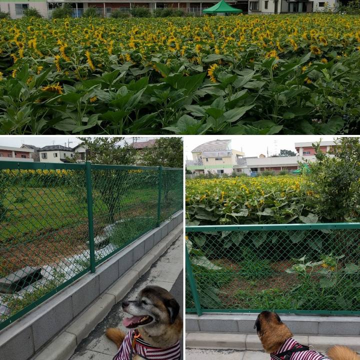 989f4798 8bca 43d5 af48 a943a824e760 1532388381780