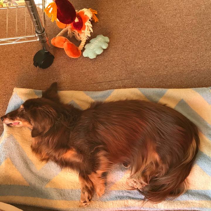 989f7023 5368 4af6 ac00 0ee76c308d43 1515818663010