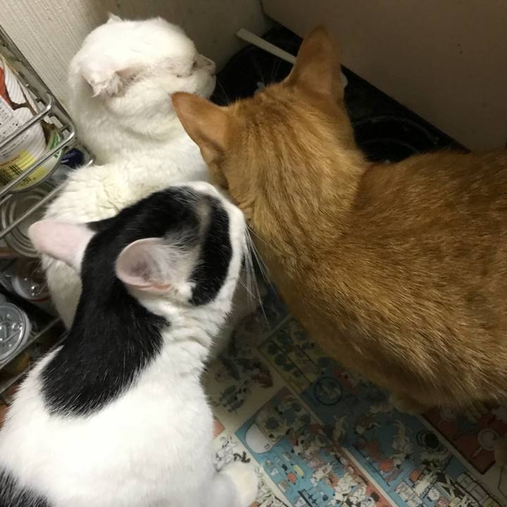 989fa9e4 a7f6 4a8a 91c5 ccc1b630d986 1536155220761