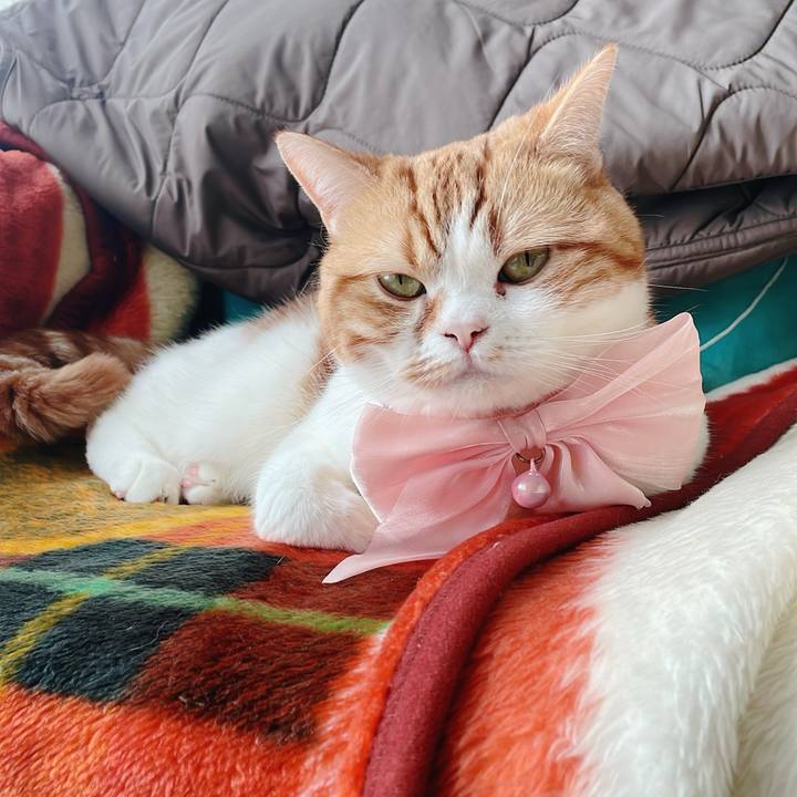 989fc2f2 6c41 4ed3 af58 e788998ca9ef 1771677544869