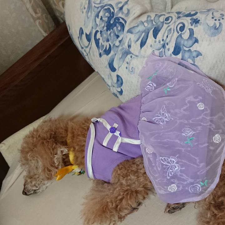 989fec15 63e2 4b99 bd92 90c2dbfff769 1618107463880