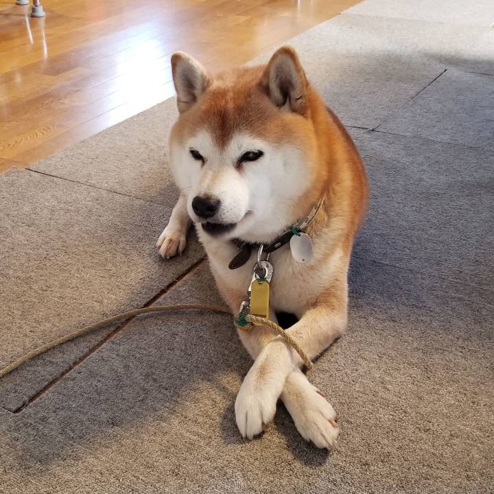 989fee77 6b27 4230 a14e 3fb5f8681283 1638405177215