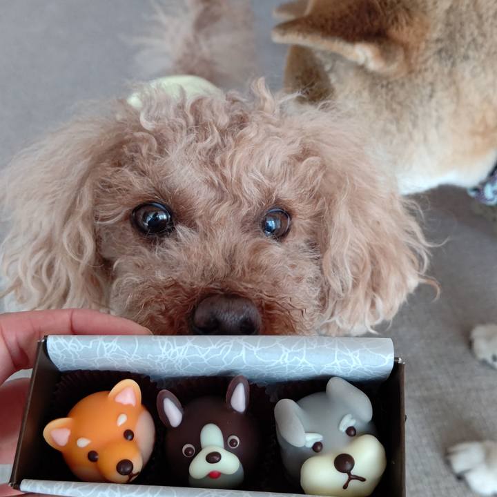 98a00d54 723c 4f7a 9d38 bed3c3b78667 1613274528314