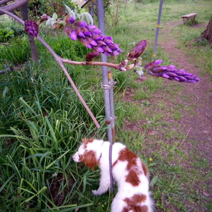 98a048c8 0b8a 4643 84ba 76b52d167942 1523101191927