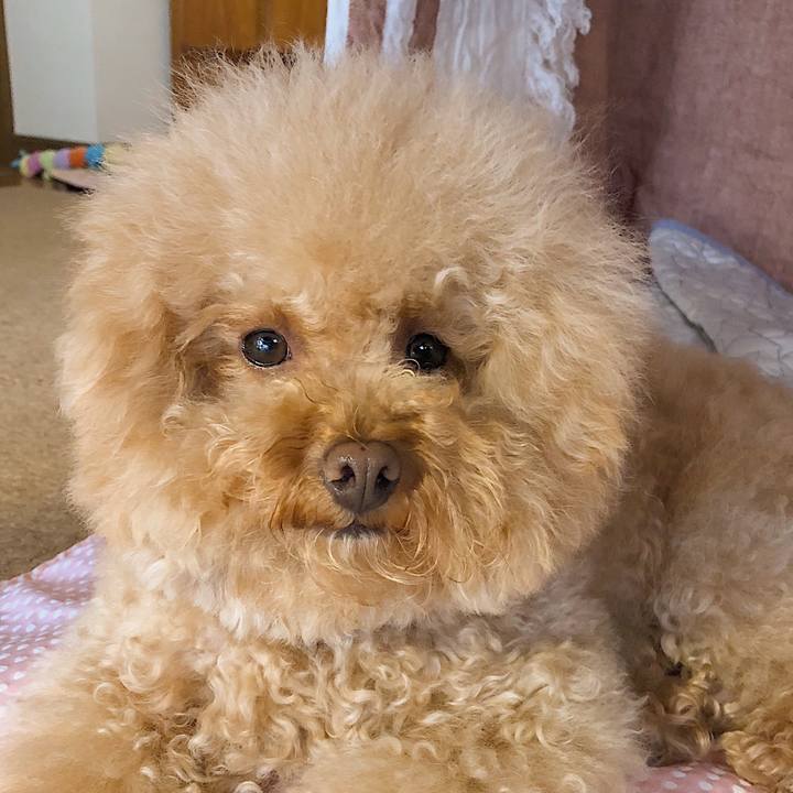 98a07607 5382 4d95 b2f5 d195a5b51bd1 1529484984460