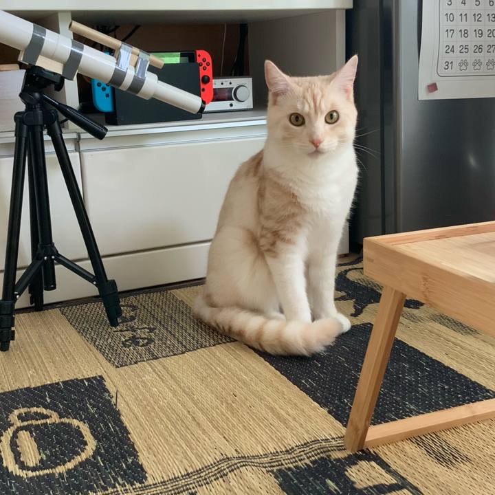 98a08de4 e836 44e7 adee 81536b0b70c4 1657585157774