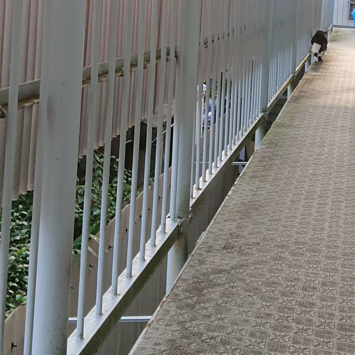 98a09fff 38f1 4898 8695 560df9684720 1601330415360