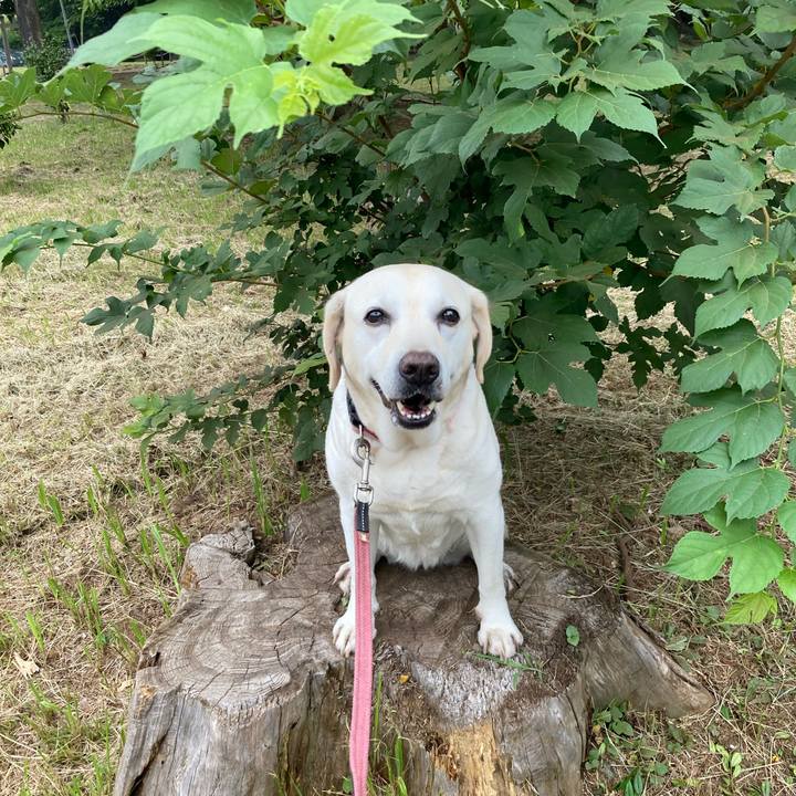 98a0a1e3 5366 403d b1e5 097b3c9cfab2 1751784136941