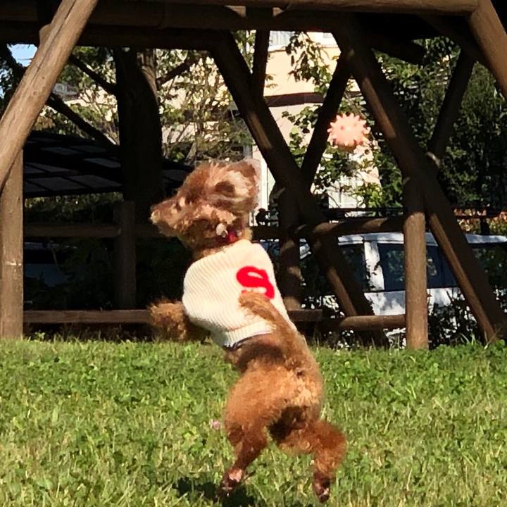 98a0c625 f1ab 4d40 a8db bf4b84cce374 1571262129657