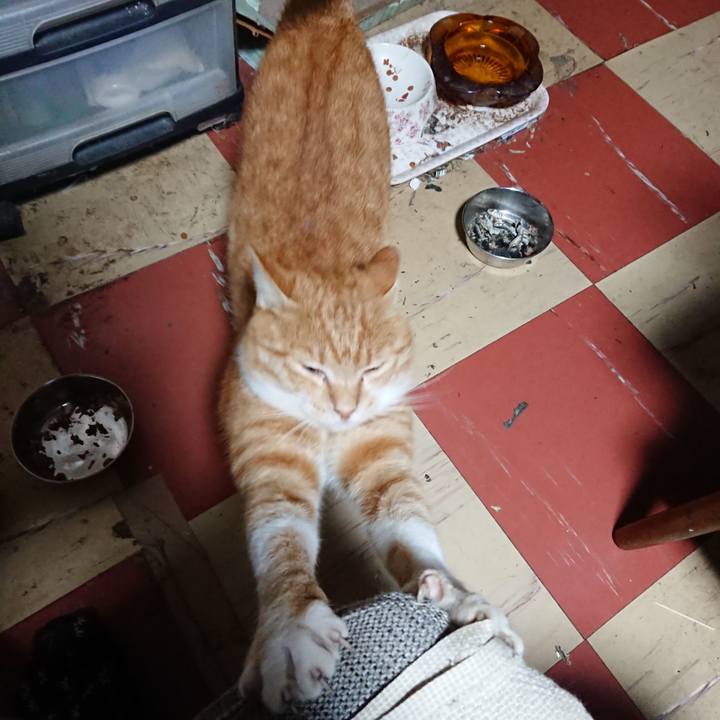 98a0d20b 6607 4168 9748 f1bab1598aa3 1569442082216