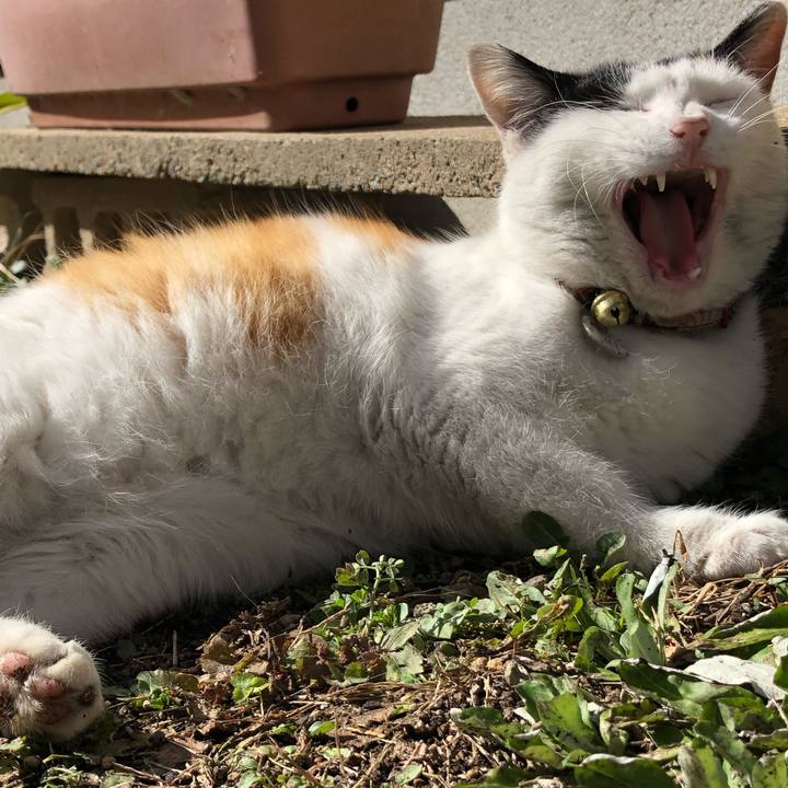 98a0f379 c4b2 4126 8fff a085f288ad9b 1611549304444