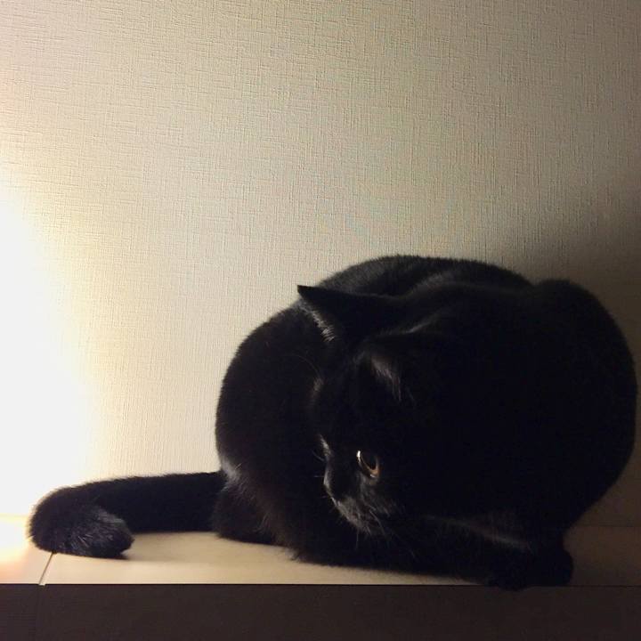 98a0f85e 62b9 4b19 bf0b 505041284ad0 1543408012715