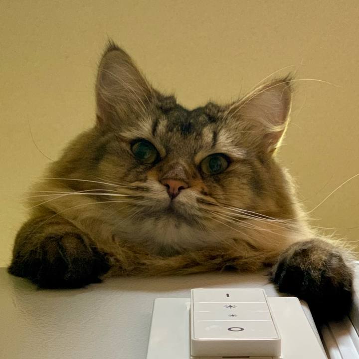 98a10f61 d94a 456c 8ca5 c277cb57778c 1752323278083