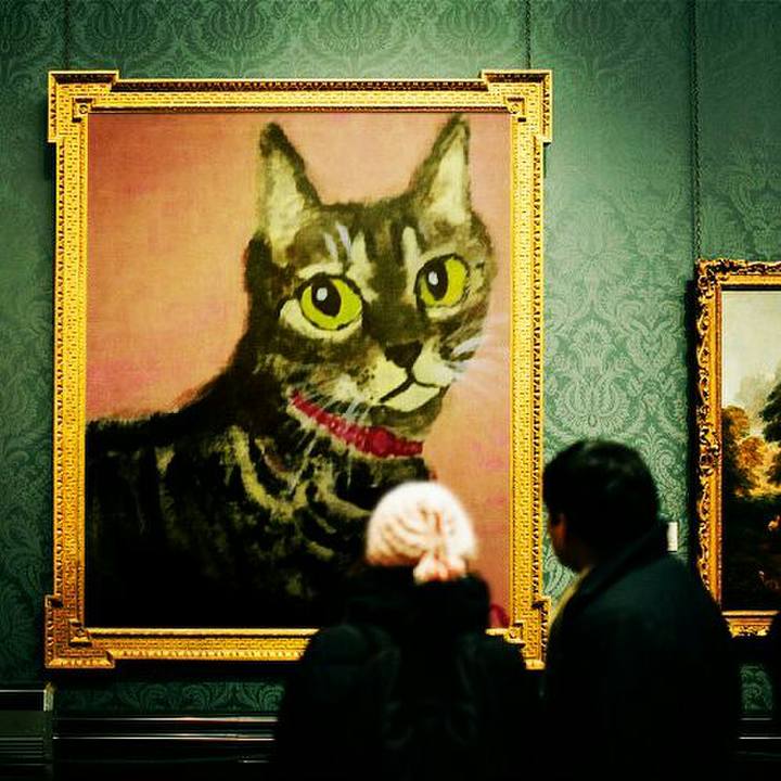 98a113ec 2380 40c5 8787 aa78ce6dfd39 1513689728714