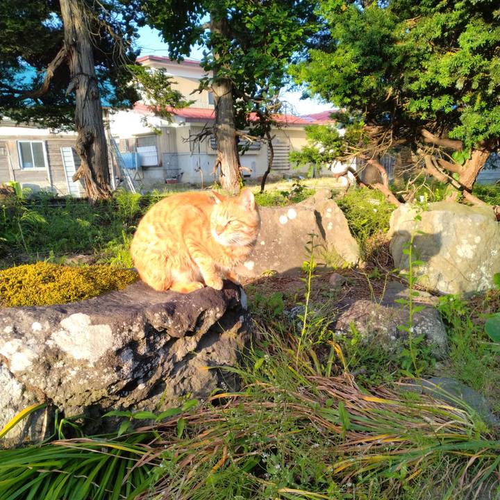 98a14fa6 356e 44da a8c9 4b5b6f94d6a1 1687211566116