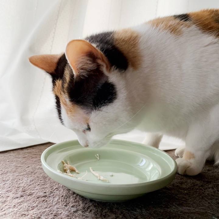 98a15706 033c 45b6 a687 fa8afbe60013 1551578698227