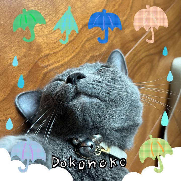 98a18e75 337c 4697 8579 ddcdc0076c72 1718587881771