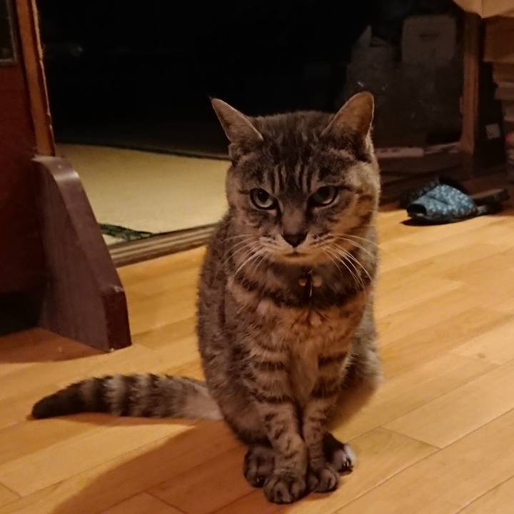 98a1ee97 56c1 4382 bed6 0f98ea3be40e 1573030778457