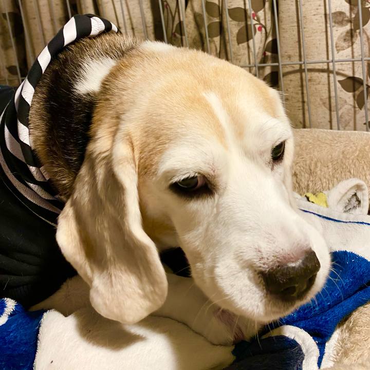 98a23adf f75b 4ccb a7f1 4d65dbff6eba 1637937478429