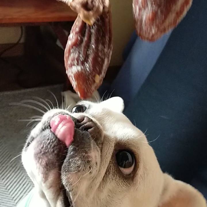 98a27a3b efc3 434d 93fd 7da1332d74ba 1670049919937