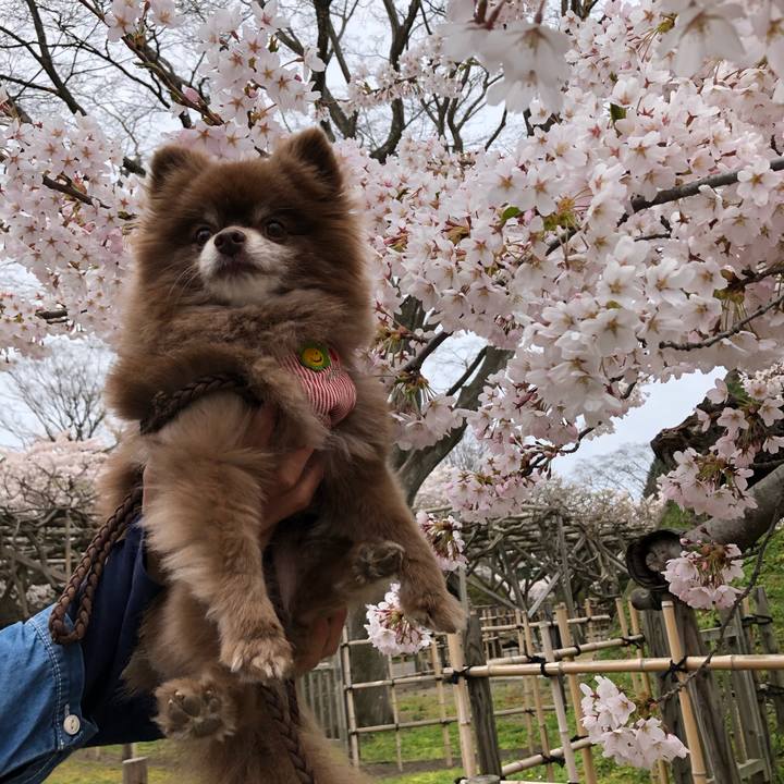 98a27fda 9752 408a 81ed 3124d7375609 1619658505530