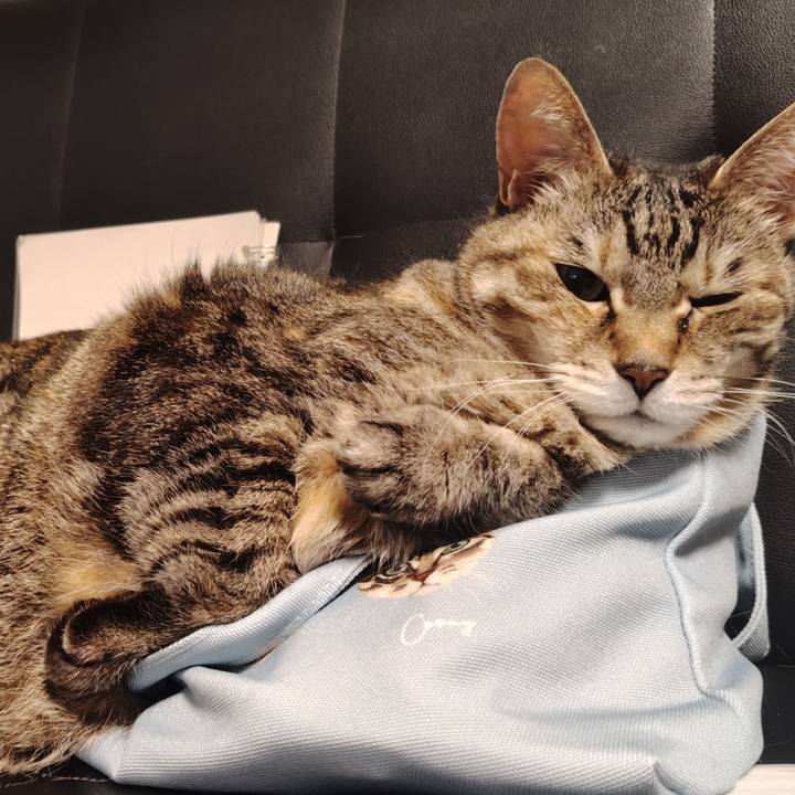 98a2aa14 53a6 4641 b0e9 1e8f06aec50d 1771241849106