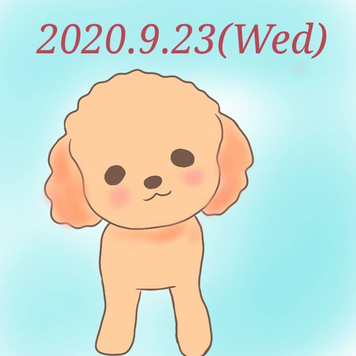 98a2b4b7 635f 406d afce 0190ea7dc1c1 1600858036054