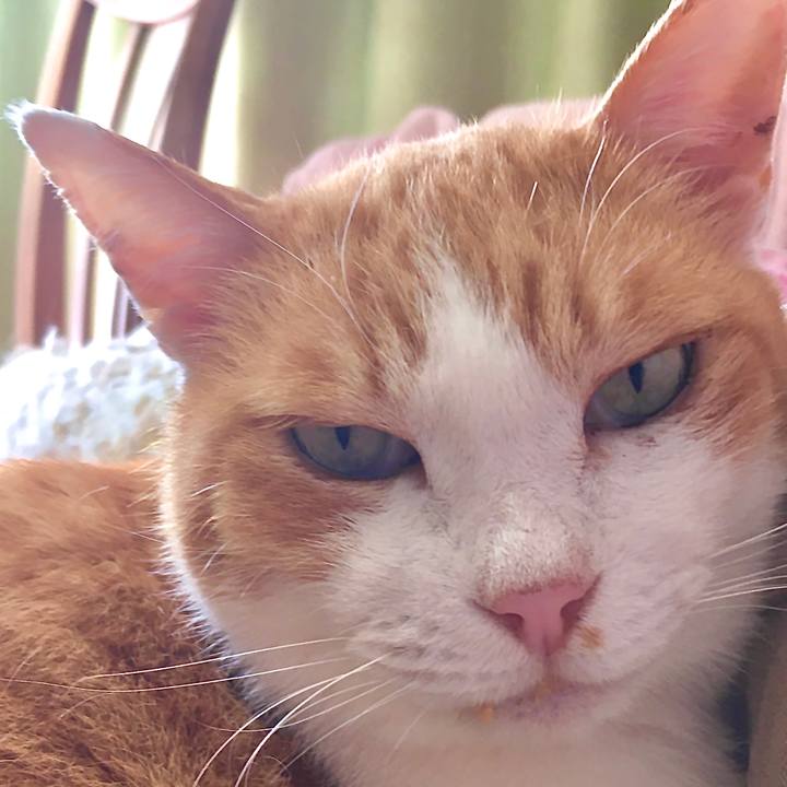 98a2c593 5031 41eb 81c4 ec418219d16f 1581069322966