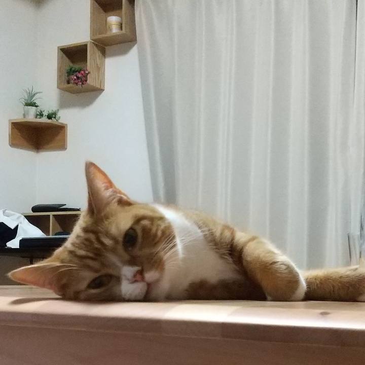 98a2cfe8 d199 4875 88d8 f6d2905a8651 1662556713107