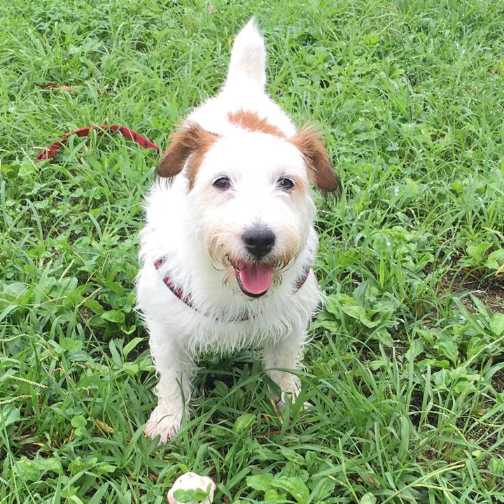 98a2d377 c5ce 4159 9a2f 5a20dbe77895 1629197267762