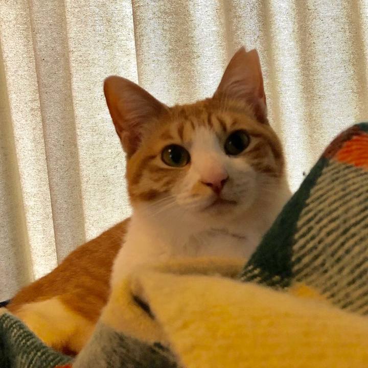 98a317d3 1ea9 4c29 90c5 a31ac5354c5e 1556345443705