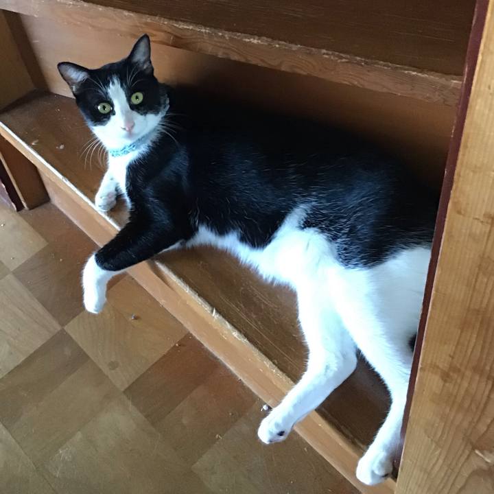 98a34b45 0b4a 4af3 ae11 5ec1a8e39466 1664684868421