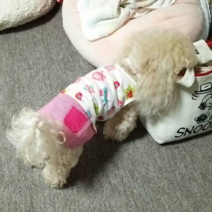 98a37d26 13e9 465e 87a3 15454df28961 1530968144422