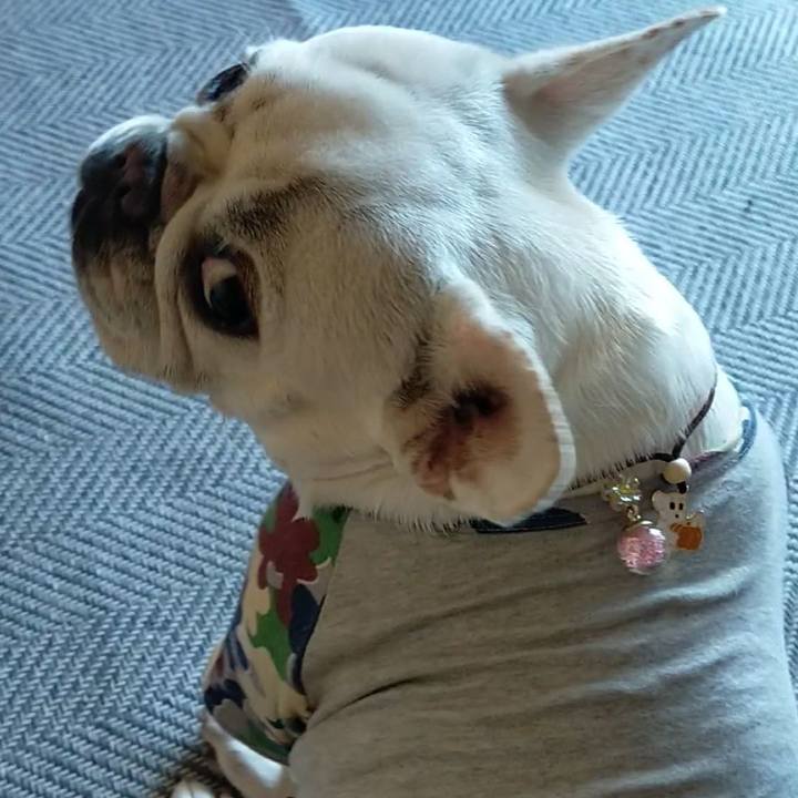 98a3833f 7975 4ed4 beeb f9889119e442 1666219204197