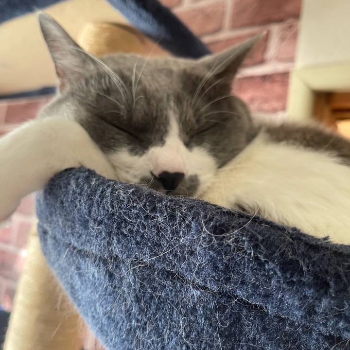 98a38e10 a419 47fc b43c fb0ed91616ff 1701645574168