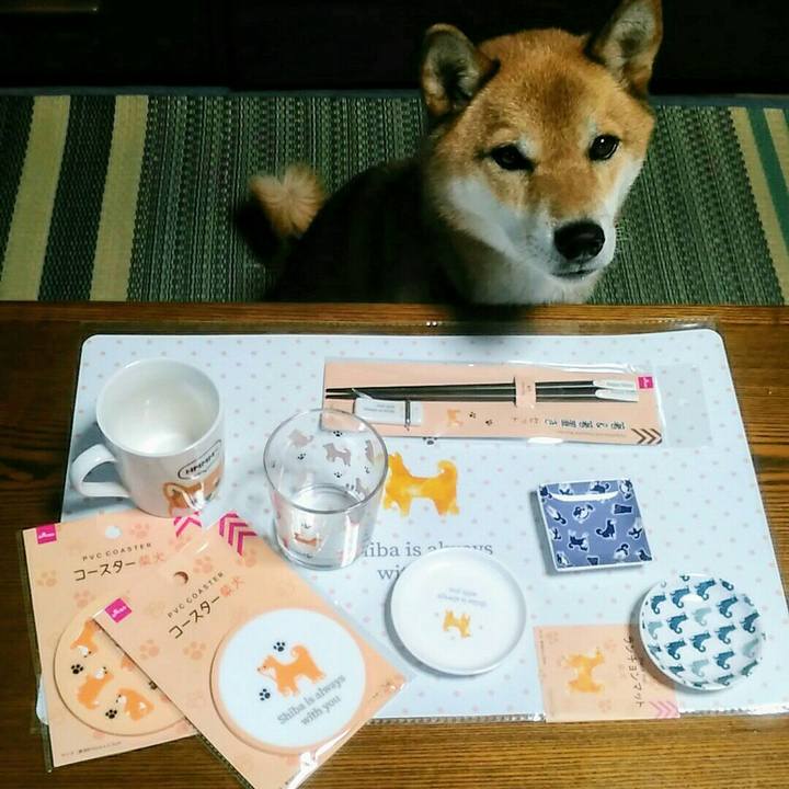 98a39b65 1d04 422d 86c6 faa2efdb46f8 1567925273122