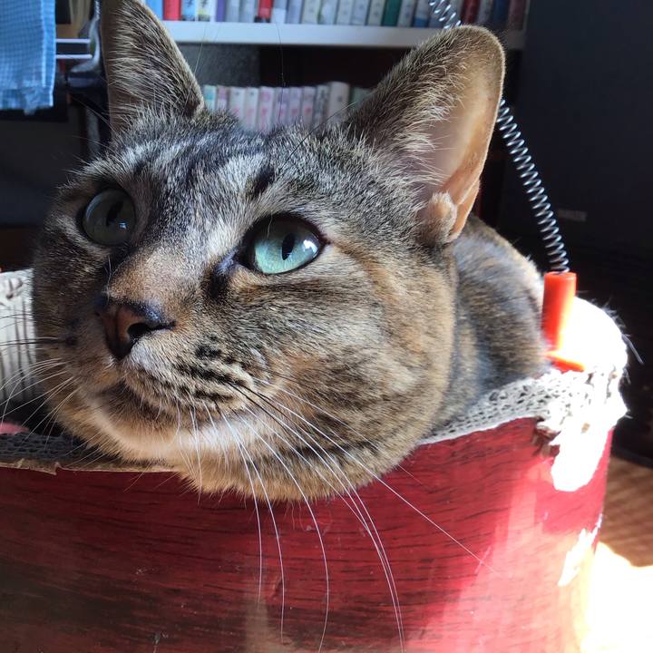 98a3accb 93fb 4fa3 939f 39a44934374e 1680656578080