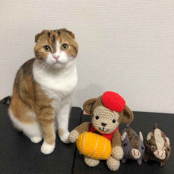 98a3d572 b9ff 4716 84c3 f8d253e9aee9 1549705085331