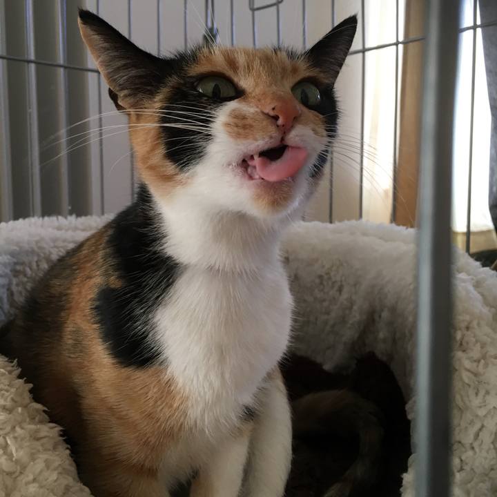 98a3dc53 7968 476b ba4a 4cec83b6f275 1512521960027