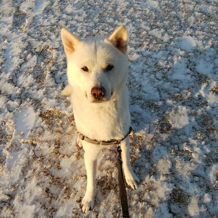 98a3ed8d f12d 430f 9831 0a5118b66727 1611103688903