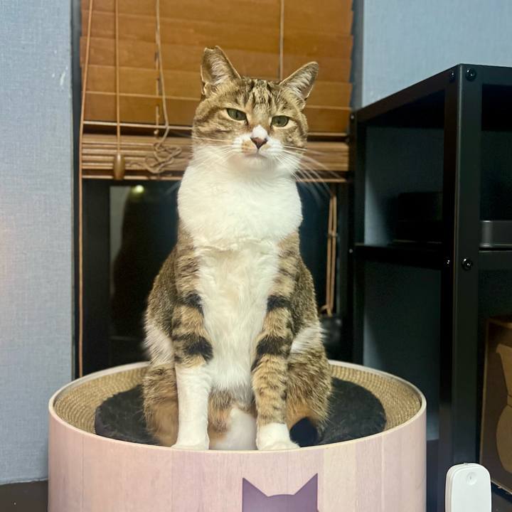 98a44488 4770 4a7c 9177 55d4b852f02b 1764675029484