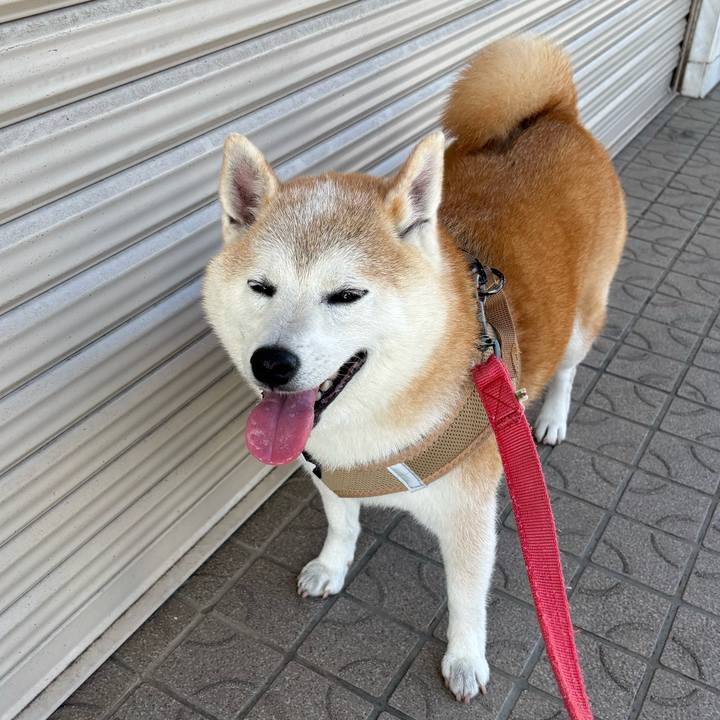 98a45aa6 37a5 4565 a6da e699b2e87531 1753216735602